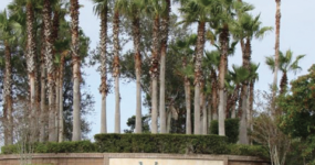The Crossings at Viera - Property Photo