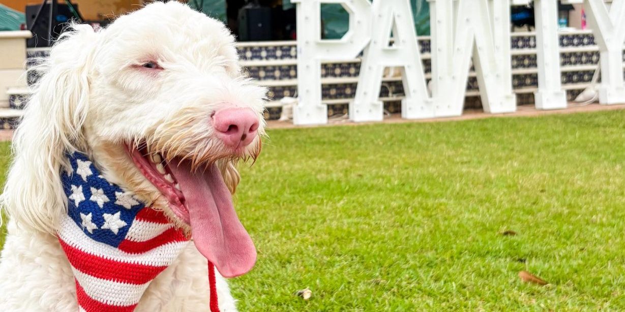 499824563_1254141240048001_6471117216731457085_n