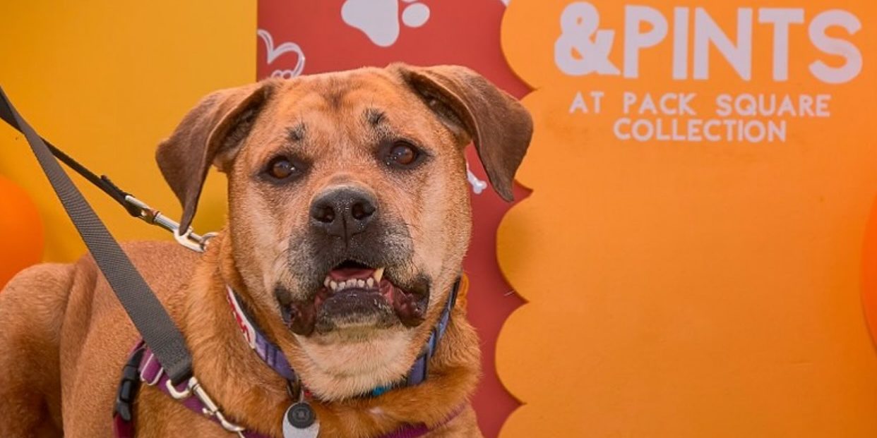 566366429_18083970899498528_1086644548897485465_n